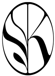 ENOSIS DISTRIBUTION
